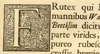 Picture 13 of 44 from Hortus Indicus Malabaricus ?continens regni Malabarici apud Indos cereberrimi onmis generis plantas rariores, Latinas, Malabaricis, Arabicis, Brachmanum charactareibus hominibusque expressas ... /adornatus per Henricum van Rheede, van Draakenstein, ... et Johannem Casearium ... ; notis adauxit, & commentariis illustravit Arnoldus Syen ... (1678), leaf 59
