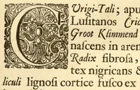 An illustration from Hortus Indicus Malabaricus ?continens regni Malabarici apud Indos cereberrimi onmis generis plantas rariores, Latinas, Malabaricis, Arabicis, Brachmanum charactareibus hominibusque expressas ... /adornatus per Henricum van Rheede, van Draakenstein, ... et Johannem Casearium ... ; notis adauxit, & commentariis illustravit Arnoldus Syen ... (1678)
