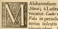 Picture 16 of 44 from Hortus Indicus Malabaricus ?continens regni Malabarici apud Indos cereberrimi onmis generis plantas rariores, Latinas, Malabaricis, Arabicis, Brachmanum charactareibus hominibusque expressas ... /adornatus per Henricum van Rheede, van Draakenstein, ... et Johannem Casearium ... ; notis adauxit, & commentariis illustravit Arnoldus Syen ... (1678), leaf 77
