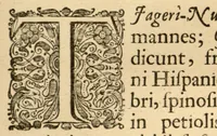 An illustration from Hortus Indicus Malabaricus ?continens regni Malabarici apud Indos cereberrimi onmis generis plantas rariores, Latinas, Malabaricis, Arabicis, Brachmanum charactareibus hominibusque expressas ... /adornatus per Henricum van Rheede, van Draakenstein, ... et Johannem Casearium ... ; notis adauxit, & commentariis illustravit Arnoldus Syen ... (1678)