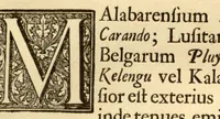 Picture 19 of 44 from Hortus Indicus Malabaricus ?continens regni Malabarici apud Indos cereberrimi onmis generis plantas rariores, Latinas, Malabaricis, Arabicis, Brachmanum charactareibus hominibusque expressas ... /adornatus per Henricum van Rheede, van Draakenstein, ... et Johannem Casearium ... ; notis adauxit, & commentariis illustravit Arnoldus Syen ... (1678), leaf 87