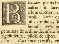 An illustration from Hortus Indicus Malabaricus ?continens regni Malabarici apud Indos cereberrimi onmis generis plantas rariores, Latinas, Malabaricis, Arabicis, Brachmanum charactareibus hominibusque expressas ... /adornatus per Henricum van Rheede, van Draakenstein, ... et Johannem Casearium ... ; notis adauxit, & commentariis illustravit Arnoldus Syen ... (1678)