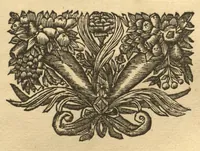 An illustration from Hortus Indicus Malabaricus ?continens regni Malabarici apud Indos cereberrimi onmis generis plantas rariores, Latinas, Malabaricis, Arabicis, Brachmanum charactareibus hominibusque expressas ... /adornatus per Henricum van Rheede, van Draakenstein, ... et Johannem Casearium ... ; notis adauxit, & commentariis illustravit Arnoldus Syen ... (1678)