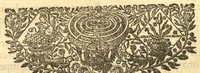 An illustration from Hortus Indicus Malabaricus ?continens regni Malabarici apud Indos cereberrimi onmis generis plantas rariores, Latinas, Malabaricis, Arabicis, Brachmanum charactareibus hominibusque expressas ... /adornatus per Henricum van Rheede, van Draakenstein, ... et Johannem Casearium ... ; notis adauxit, & commentariis illustravit Arnoldus Syen ... (1678)