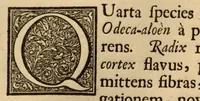 Picture 4 of 23 from Hortus Indicus Malabaricus ?continens regni Malabarici apud Indos cereberrimi onmis generis plantas rariores, Latinas, Malabaricis, Arabicis, Brachmanum charactareibus hominibusque expressas ... /adornatus per Henricum van Rheede, van Draakenstein, ... et Johannem Casearium ... ; notis adauxit, & commentariis illustravit Arnoldus Syen ... (1678), leaf 114