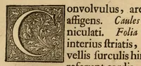 An illustration from Hortus Indicus Malabaricus ?continens regni Malabarici apud Indos cereberrimi onmis generis plantas rariores, Latinas, Malabaricis, Arabicis, Brachmanum charactareibus hominibusque expressas ... /adornatus per Henricum van Rheede, van Draakenstein, ... et Johannem Casearium ... ; notis adauxit, & commentariis illustravit Arnoldus Syen ... (1678)