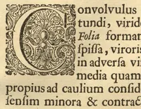 An illustration from Hortus Indicus Malabaricus ?continens regni Malabarici apud Indos cereberrimi onmis generis plantas rariores, Latinas, Malabaricis, Arabicis, Brachmanum charactareibus hominibusque expressas ... /adornatus per Henricum van Rheede, van Draakenstein, ... et Johannem Casearium ... ; notis adauxit, & commentariis illustravit Arnoldus Syen ... (1678)