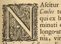 An illustration from Hortus Indicus Malabaricus ?continens regni Malabarici apud Indos cereberrimi onmis generis plantas rariores, Latinas, Malabaricis, Arabicis, Brachmanum charactareibus hominibusque expressas ... /adornatus per Henricum van Rheede, van Draakenstein, ... et Johannem Casearium ... ; notis adauxit, & commentariis illustravit Arnoldus Syen ... (1678)