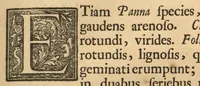 Picture 14 of 23 from Hortus Indicus Malabaricus ?continens regni Malabarici apud Indos cereberrimi onmis generis plantas rariores, Latinas, Malabaricis, Arabicis, Brachmanum charactareibus hominibusque expressas ... /adornatus per Henricum van Rheede, van Draakenstein, ... et Johannem Casearium ... ; notis adauxit, & commentariis illustravit Arnoldus Syen ... (1678), leaf 236