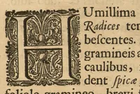 An illustration from Hortus Indicus Malabaricus ?continens regni Malabarici apud Indos cereberrimi onmis generis plantas rariores, Latinas, Malabaricis, Arabicis, Brachmanum charactareibus hominibusque expressas ... /adornatus per Henricum van Rheede, van Draakenstein, ... et Johannem Casearium ... ; notis adauxit, & commentariis illustravit Arnoldus Syen ... (1678)