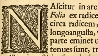 An illustration from Hortus Indicus Malabaricus ?continens regni Malabarici apud Indos cereberrimi onmis generis plantas rariores, Latinas, Malabaricis, Arabicis, Brachmanum charactareibus hominibusque expressas ... /adornatus per Henricum van Rheede, van Draakenstein, ... et Johannem Casearium ... ; notis adauxit, & commentariis illustravit Arnoldus Syen ... (1678)