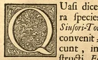 Picture 23 of 23 from Hortus Indicus Malabaricus ?continens regni Malabarici apud Indos cereberrimi onmis generis plantas rariores, Latinas, Malabaricis, Arabicis, Brachmanum charactareibus hominibusque expressas ... /adornatus per Henricum van Rheede, van Draakenstein, ... et Johannem Casearium ... ; notis adauxit, & commentariis illustravit Arnoldus Syen ... (1678), leaf 317