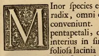 Picture 3 of 23 from Hortus Indicus Malabaricus ?continens regni Malabarici apud Indos cereberrimi onmis generis plantas rariores, Latinas, Malabaricis, Arabicis, Brachmanum charactareibus hominibusque expressas ... /adornatus per Henricum van Rheede, van Draakenstein, ... et Johannem Casearium ... ; notis adauxit, & commentariis illustravit Arnoldus Syen ... (1678), leaf 70