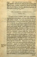 An illustration from Frumentorum, Leguminum, palustrium et aquatilium herbarum,ac eorum, quae eo? pertinent, historia? Remberto Dodonaeo Mechliniensi Medico auctore... (1566)