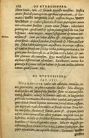 An illustration from Frumentorum, Leguminum, palustrium et aquatilium herbarum,ac eorum, quae eo? pertinent, historia? Remberto Dodonaeo Mechliniensi Medico auctore... (1566)