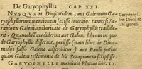 Picture 6 of 9 from Aromatum, et simplicium aliquot medicamentorum apud Indos nascentium historia ?ante biennium quidem Lusitanica linqua per dialogos conscripta /D. Garcia ab Horto, proregis Indie? medico, auctore ? nunc vero? primu?m Latina facta, & in epitomen contracta a? Carolo Clusio Atrebate. (1567), leaf 101