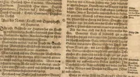 An illustration from New vollkommenlich Kräuter-Buch : mit schönen und künstlichen Figuren aller Gewächs der Baümen, Stauden und Kräutern...:das erste [-das ander und dritte] Theil darinn viel und mancherley heilsamer Artzeney vor allerley innerlichen und eusserlichen Kranckheiten, beyde der Menschen und des Viehes sampt ihrem nützlichen Gebrauch beschrieben werden.../ durch Iacobum Theodorum Tabernaemontanum... ; das ander und dritte Theil...verbessert durch Hieronymum Bauhinum... ; mit sehr nutzlichen Marginalien, Synonimis, newen Registern und anderm vermehret durch Hieronymum Bauhinum... (1664)