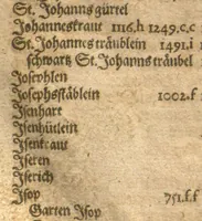 An illustration from New vollkommenlich Kräuter-Buch : mit schönen und künstlichen Figuren aller Gewächs der Baümen, Stauden und Kräutern...:das erste [-das ander und dritte] Theil darinn viel und mancherley heilsamer Artzeney vor allerley innerlichen und eusserlichen Kranckheiten, beyde der Menschen und des Viehes sampt ihrem nützlichen Gebrauch beschrieben werden.../ durch Iacobum Theodorum Tabernaemontanum... ; das ander und dritte Theil...verbessert durch Hieronymum Bauhinum... ; mit sehr nutzlichen Marginalien, Synonimis, newen Registern und anderm vermehret durch Hieronymum Bauhinum... (1664)
