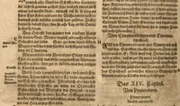 An illustration from New vollkommenlich Kräuter-Buch : mit schönen und künstlichen Figuren aller Gewächs der Baümen, Stauden und Kräutern...:das erste [-das ander und dritte] Theil darinn viel und mancherley heilsamer Artzeney vor allerley innerlichen und eusserlichen Kranckheiten, beyde der Menschen und des Viehes sampt ihrem nützlichen Gebrauch beschrieben werden.../ durch Iacobum Theodorum Tabernaemontanum... ; das ander und dritte Theil...verbessert durch Hieronymum Bauhinum... ; mit sehr nutzlichen Marginalien, Synonimis, newen Registern und anderm vermehret durch Hieronymum Bauhinum... (1664)