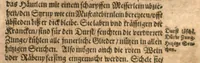 An illustration from New vollkommenlich Kräuter-Buch : mit schönen und künstlichen Figuren aller Gewächs der Baümen, Stauden und Kräutern...:das erste [-das ander und dritte] Theil darinn viel und mancherley heilsamer Artzeney vor allerley innerlichen und eusserlichen Kranckheiten, beyde der Menschen und des Viehes sampt ihrem nützlichen Gebrauch beschrieben werden.../ durch Iacobum Theodorum Tabernaemontanum... ; das ander und dritte Theil...verbessert durch Hieronymum Bauhinum... ; mit sehr nutzlichen Marginalien, Synonimis, newen Registern und anderm vermehret durch Hieronymum Bauhinum... (1664)