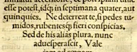 An illustration from Ioannis Guintherii Andernaci medici Commentarius de balneis, & aquis medicatis in tres dialogos distinctus. (1565)