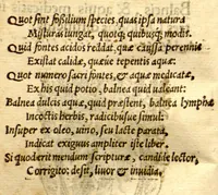 An illustration from Ioannis Guintherii Andernaci medici Commentarius de balneis, & aquis medicatis in tres dialogos distinctus. (1565)
