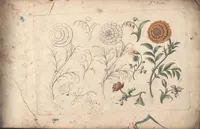 Picture 3 of 10 from The florist, or, An extensive and curious collection of flowers, for the imitation of young ladies, either in drawing or in needle?workby A. Heckle. (1757), leaf 5