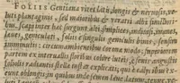 An illustration from Purgantium aliarumque eo facientium, tum et radicum, conuoluulorum ac deleteriarum herbarum historiae.Remberto Dodonaeo, Mechliniensi medico auctore ; accessit appendix variarŭ & quidem rarissimarum nonnullarum stirpium, ac florum quorundam peregrinorum, elegantissimorum icones omnino nouas nec anteà editas, singulorum breues descriptiones continens ; cuius altera parte vmbelliferae exhibentur non paucae, eodem auctore. (1574)