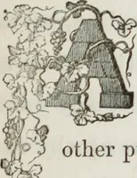 An illustration from The model architect : a series of original designs for cottages, villas, suburban residences, etc., accompanied by explanations, specifications, estimates, and elaborate details : prepared expressly for the use of projectors and artisans throughout the United States (1852)
