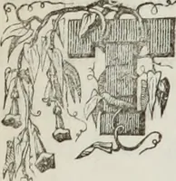 An illustration from The model architect : a series of original designs for cottages, villas, suburban residences, etc., accompanied by explanations, specifications, estimates, and elaborate details : prepared expressly for the use of projectors and artisans throughout the United States (1852)