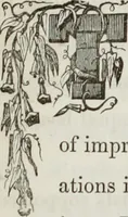 An illustration from The model architect : a series of original designs for cottages, villas, suburban residences, etc., accompanied by explanations, specifications, estimates, and elaborate details : prepared expressly for the use of projectors and artisans throughout the United States (1852)