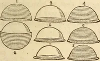 An illustration from The model book of dreams, fortune teller, and epitome of parlor entertainments (1864)
