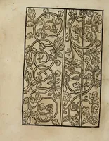 Picture 6 of 34 from Modelbüch neuw aller art Nehens uñ Stickens : jetzund wider mit vil Mödlen vnd Stahlen : allen Steinmetzen, Seidenstickern, vnnd Neterin sehr nützlich vnnd lustig zügericht (1562), leaf 14