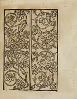 Picture 8 of 34 from Modelbüch neuw aller art Nehens uñ Stickens : jetzund wider mit vil Mödlen vnd Stahlen : allen Steinmetzen, Seidenstickern, vnnd Neterin sehr nützlich vnnd lustig zügericht (1562), leaf 17