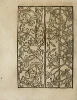 An illustration from Modelbüch neuw aller art Nehens uñ Stickens : jetzund wider mit vil Mödlen vnd Stahlen : allen Steinmetzen, Seidenstickern, vnnd Neterin sehr nützlich vnnd lustig zügericht (1562)