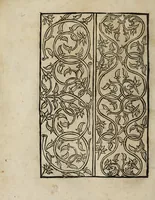 Picture 11 of 34 from Modelbüch neuw aller art Nehens uñ Stickens : jetzund wider mit vil Mödlen vnd Stahlen : allen Steinmetzen, Seidenstickern, vnnd Neterin sehr nützlich vnnd lustig zügericht (1562), leaf 20