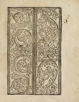 An illustration from Modelbüch neuw aller art Nehens uñ Stickens : jetzund wider mit vil Mödlen vnd Stahlen : allen Steinmetzen, Seidenstickern, vnnd Neterin sehr nützlich vnnd lustig zügericht (1562)