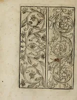 An illustration from Modelbüch neuw aller art Nehens uñ Stickens : jetzund wider mit vil Mödlen vnd Stahlen : allen Steinmetzen, Seidenstickern, vnnd Neterin sehr nützlich vnnd lustig zügericht (1562)