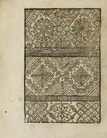 Picture 15 of 34 from Modelbüch neuw aller art Nehens uñ Stickens : jetzund wider mit vil Mödlen vnd Stahlen : allen Steinmetzen, Seidenstickern, vnnd Neterin sehr nützlich vnnd lustig zügericht (1562), leaf 28