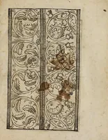 An illustration from Modelbüch neuw aller art Nehens uñ Stickens : jetzund wider mit vil Mödlen vnd Stahlen : allen Steinmetzen, Seidenstickern, vnnd Neterin sehr nützlich vnnd lustig zügericht (1562)
