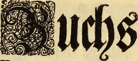 An illustration from [Model Buch : T.1-4 (1666)
