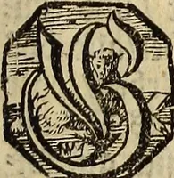 An illustration from [Model Buch : T.1-4 (1666)