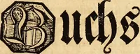 An illustration from [Model Buch : T.1-4 (1666)