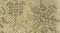 An illustration from [Model Buch : T.1-4 (1666)