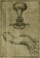 Picture 10 of 137 from Modelles, artifices de fev, et divers instrvmes de gverre : avec les moyes de s'en prevaloir : pour assieger, battre, surprendre, et deffendre toutes places : vtiles et necessaires a touvs cevx qvi fond profession des armes (1598), leaf 18