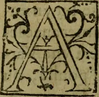 An illustration from Modelles, artifices de fev, et divers instrvmes de gverre : avec les moyes de s'en prevaloir : pour assieger, battre, surprendre, et deffendre toutes places : vtiles et necessaires a touvs cevx qvi fond profession des armes (1598)