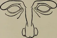 An illustration from Modelling; a guide for teachers and students (1902)