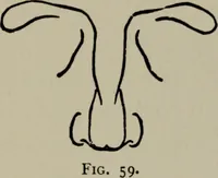 An illustration from Modelling; a guide for teachers and students (1902)
