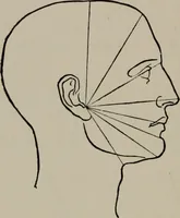 An illustration from Modelling; a guide for teachers and students (1902)