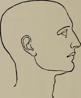 An illustration from Modelling; a guide for teachers and students (1902)